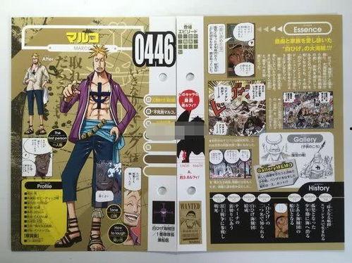 海贼王卡片爆料视频,神秘力量觉醒，冒险再启航！