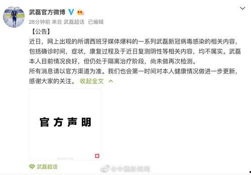 武磊外媒爆料视频,中国足球的崛起与挑战