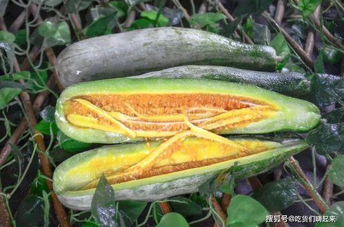 保定理工吃瓜网红,吃瓜群众眼中的校园风云人物