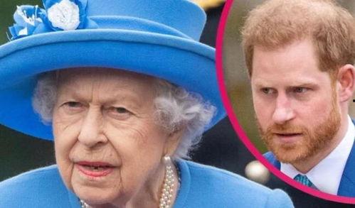 哈里王子爆料视频,独家视频曝光惊人真相  第3张