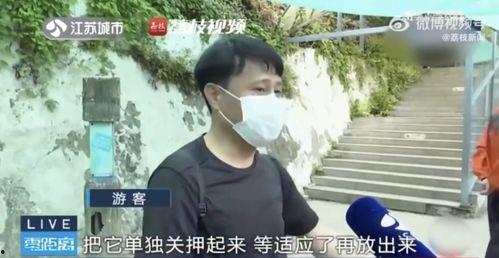 吃瓜网红文轩,吃瓜网红的瓜田奇遇记 第2张 吃瓜网红文轩,吃瓜网红的瓜田奇遇记 第2张