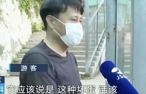 吃瓜网红文轩,吃瓜网红的瓜田奇遇记 第3张 吃瓜网红文轩,吃瓜网红的瓜田奇遇记 第3张