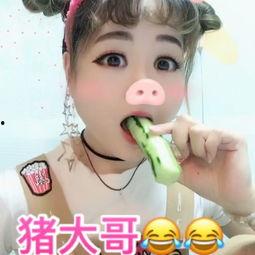 吃瓜猪娱乐视频,揭秘娱乐圈幕后故事  第2张