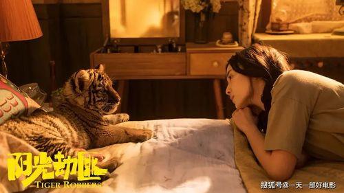 门徒娱乐大爆料视频播放,揭秘幕后真相,视频播放引发热议 第2张 门徒娱乐大爆料视频播放,揭秘幕后真相,视频播放引发热议 第2张