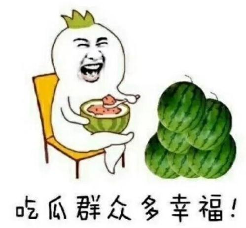 郑州吃瓜娱乐官网,揭秘城市美食与娱乐新风向 第2张 郑州吃瓜娱乐官网,揭秘城市美食与娱乐新风向 第2张