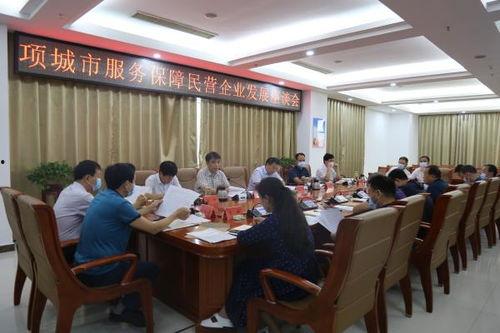 项城新闻爆料,最新爆料揭示惊人内幕，揭秘背后真相！